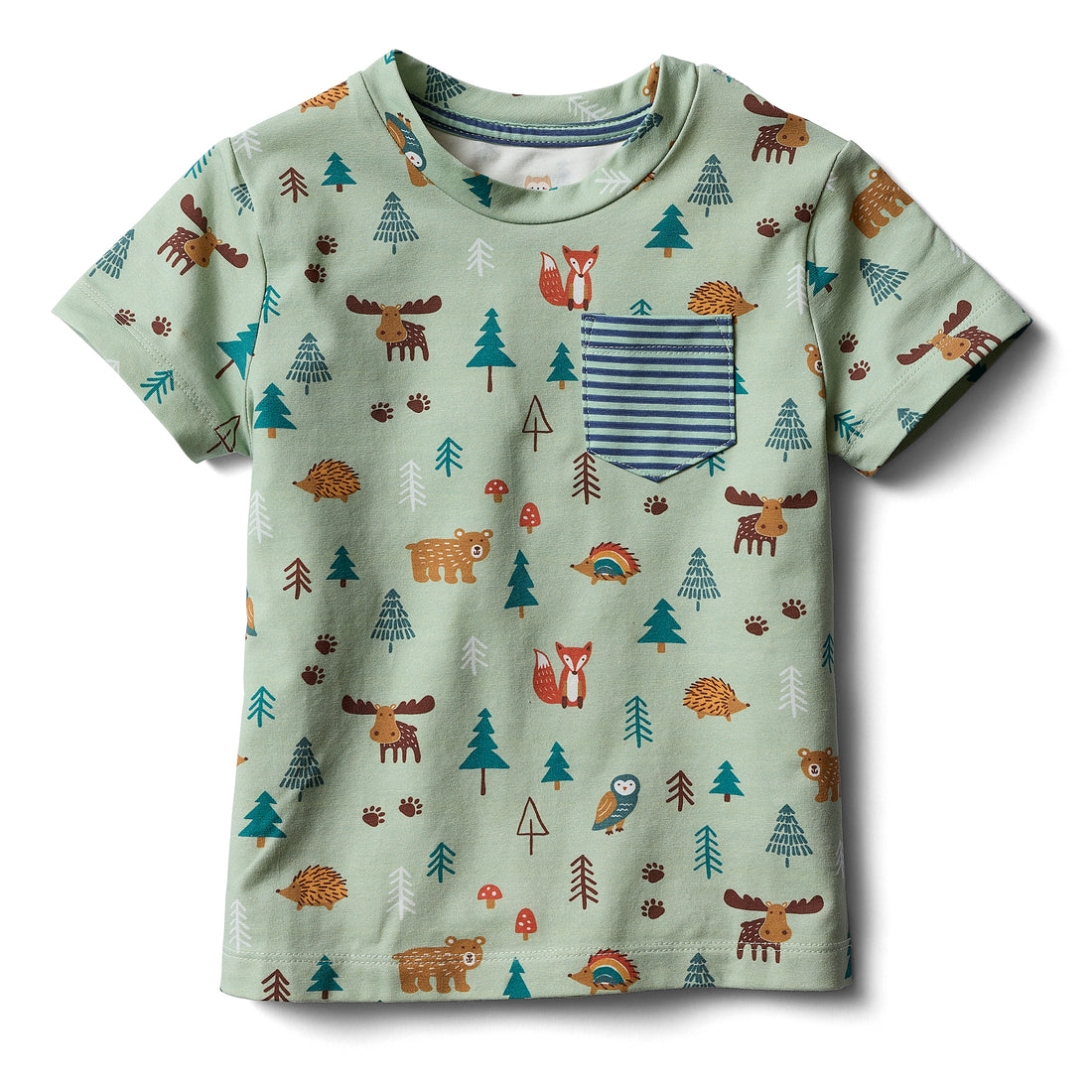 Jogger Set - Little Pines